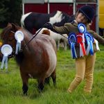 Horse and Pony Show