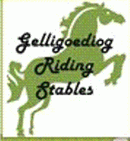 Gelligoediog Riding Stables