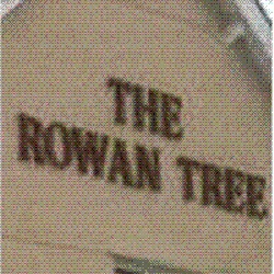 RowanTree